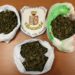 Lentini. Nascosti nel contatore dell’acqua quasi 200 grammi di marijuana