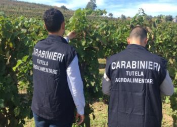Sortino. Miele privo di tracciabilità, elevata sanzione di 1500 euro