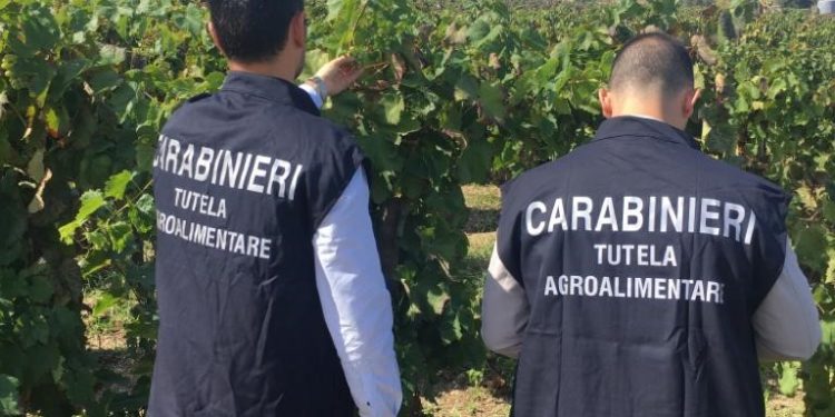 Sortino. Miele privo di tracciabilità, elevata sanzione di 1500 euro