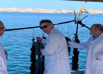 Siracusa. Monitoraggio molluschi al Porto Grande, a lavoro i veterinari dell’Asp