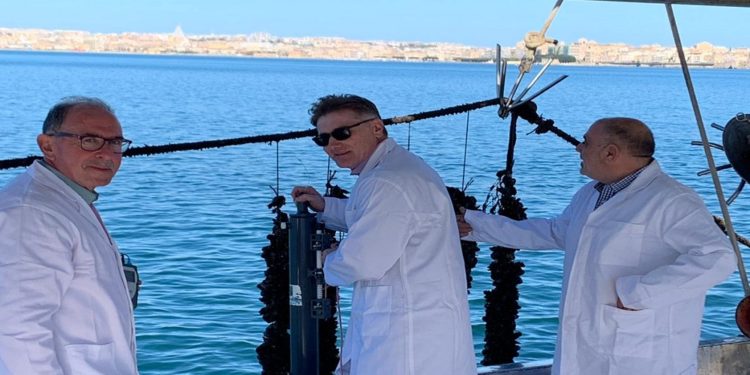 Siracusa. Monitoraggio molluschi al Porto Grande, a lavoro i veterinari dell’Asp