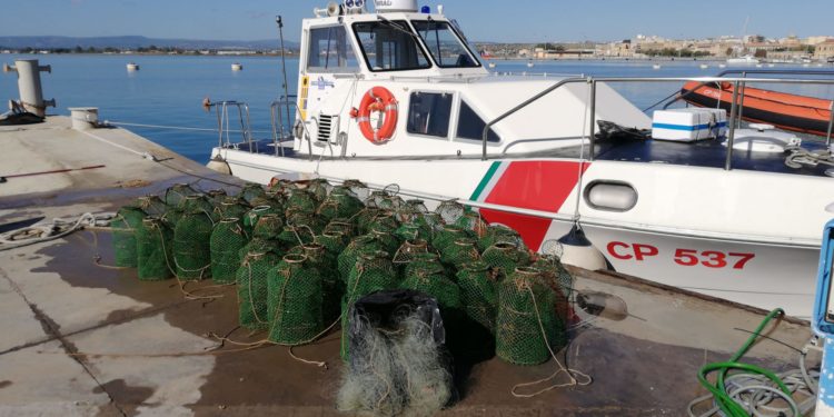 Siracusa. Pesca di frodo al Porto Grande e a Marina di Melilli: sanzioni per 6 mila euro