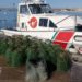 Siracusa. Pesca di frodo al Porto Grande e a Marina di Melilli: sanzioni per 6 mila euro