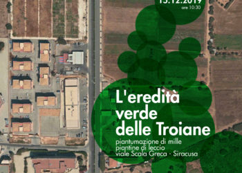Siracusa. Domenica la piantumazione di mille piantine di leccio in viale Scala Greca