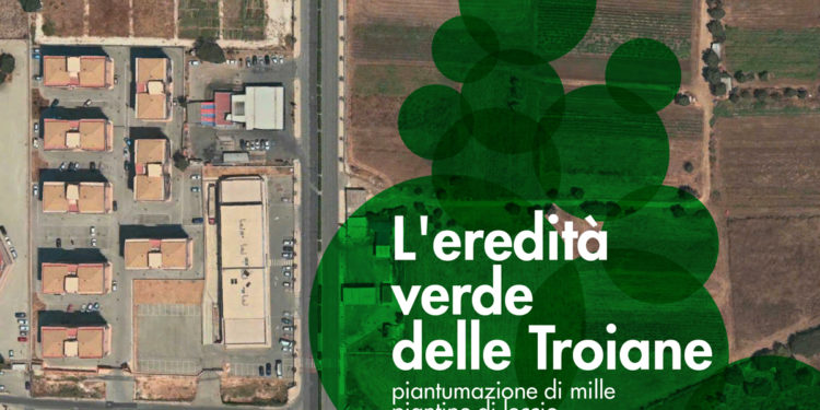Siracusa. Domenica la piantumazione di mille piantine di leccio in viale Scala Greca