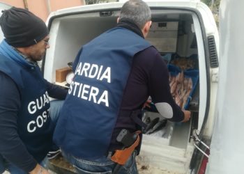 Siracusa. Operazione “Mercato Globale”, sequestrati 260 kg di prodotto ittico privo di tracciabilità