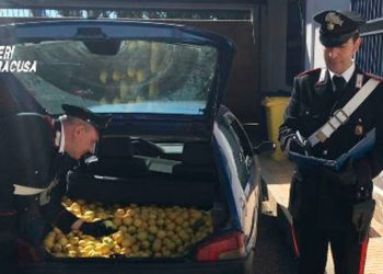 Solarino, sorpreso a rubare 500kg di agrumi: arrestato dai Carabinieri