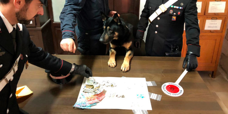 Siracusa, Carabinieri in azione con cane antidroga: un arrestato