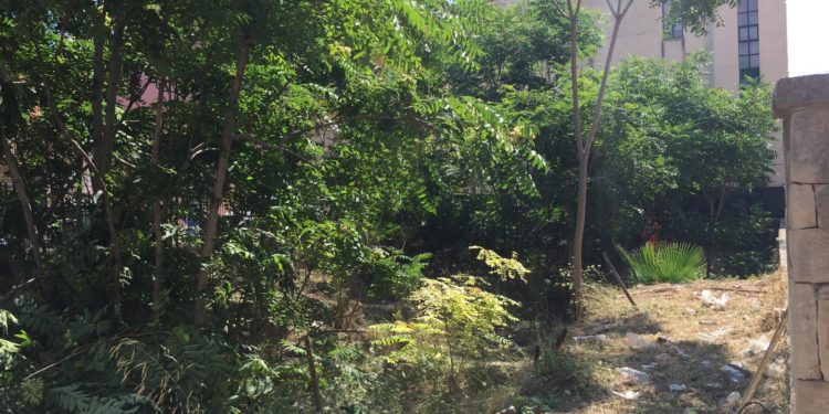 Siracusa. Ripulito il sito archeologico di via Iceta