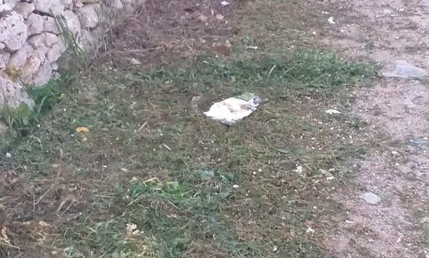 Siracusa. Rimozione cassonetti e pulizia zone balneari