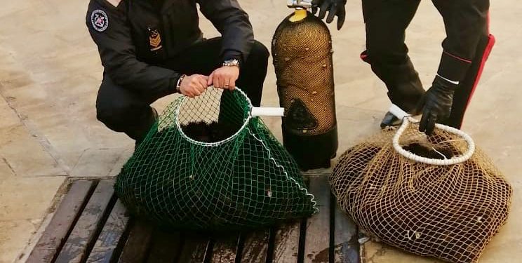 Siracusa. Sventata pesca illegale di ricci di mare, sanzione da 4 mila euro per due diportisti