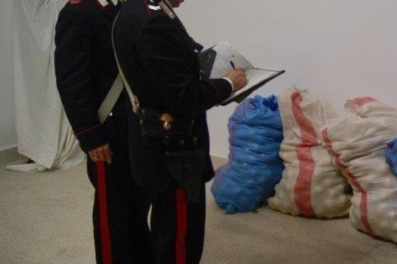 Siracusa. Furto di ortaggi, i Carabinieri denunciano due uomini