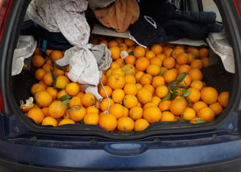 Lentini, automobile rubata caricata con oltre 200kg di arance: sequestrata dalla Polizia