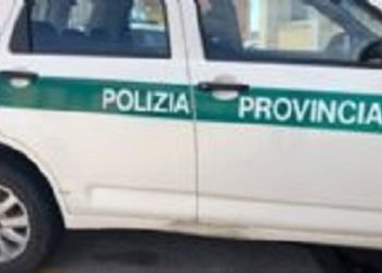 Siracusa. La Polizia Provinciale intensifica i controlli sulle strade