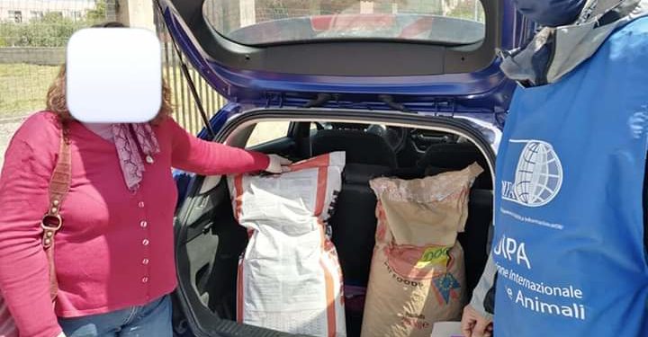 Consegnato da Oipa Siracusa cibo per cani, gatti e galline