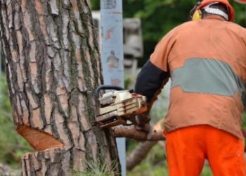 Priolo Gargallo, al via da domani interventi di manutezione e cura del verde