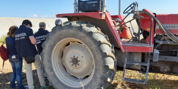 Coronavirus, i Carabinieri del Nil sanzionano il proprietario di un’azienda agricola