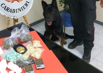 Siracusa. Sorpreso ai domiciliari con oltre 350 grammi di droga: arrestato
