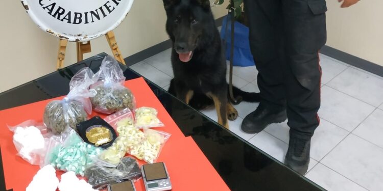 Siracusa. Sorpreso ai domiciliari con oltre 350 grammi di droga: arrestato