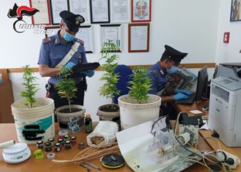 Ferla. Una serra di marijuana nella mansarda di casa: arrestato 49enne