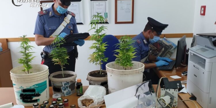 Ferla. Una serra di marijuana nella mansarda di casa: arrestato 49enne