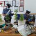 Ferla. Una serra di marijuana nella mansarda di casa: arrestato 49enne
