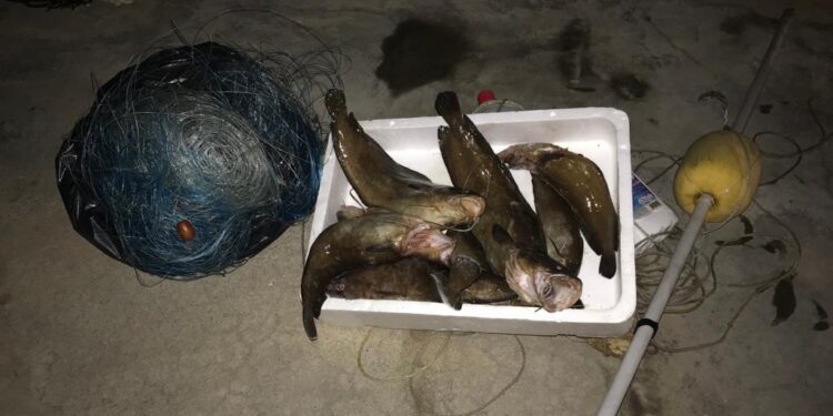 Siracusa. Sequestrato al Plemmirio un palangaro con esemplari di musdea