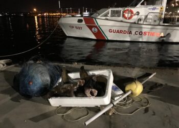 Siracusa. Sequestrato al Plemmirio un palangaro con esemplari di musdea