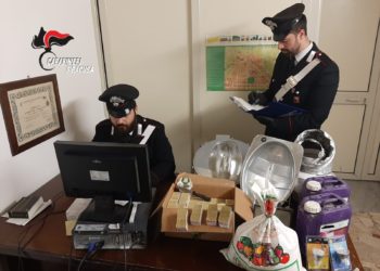 Francofonte. Allestisce una serra per la marijuana in garage, denunciato 23enne