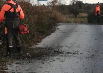 Diserbo strade provinciali, proseguono gli interventi di Siracusa Risorse