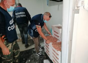 Portopalo, sequestrati in un deposito 140 chili di pesce privo di tracciabilità