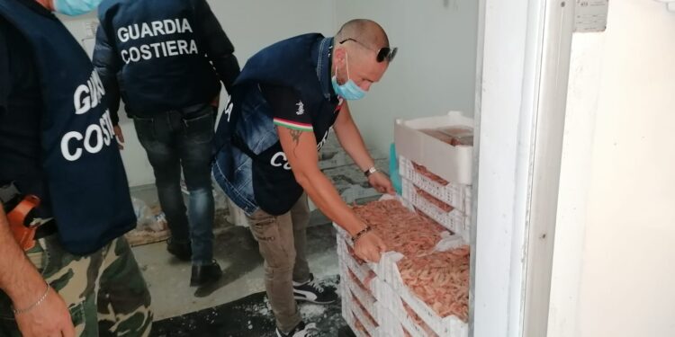 Portopalo, sequestrati in un deposito 140 chili di pesce privo di tracciabilità