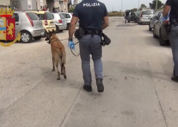 VIDEO – Siracusa, operazioni antidroga della Polizia: arrestate due persone
