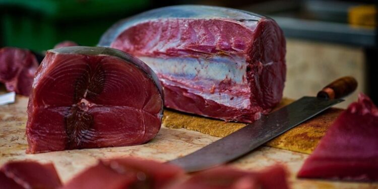 Asp Siracusa, avviati controlli sulla filiera del tonno: le raccomandazioni ai consumatori