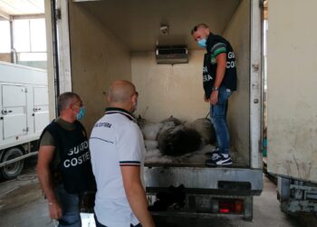 Portopalo, sequestrati in una pescheria 750 chili di tonno non adatto al consumo umano