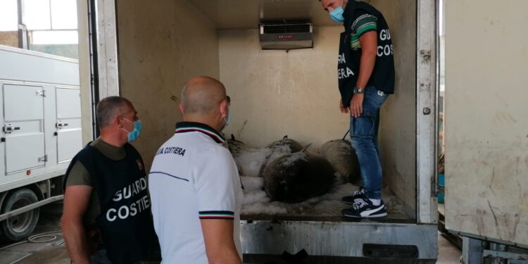 Portopalo, sequestrati in una pescheria 750 chili di tonno non adatto al consumo umano
