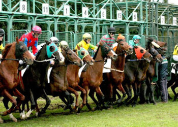 Riapertura ippodromi, Spada (Italia Viva): “necessario ripartire al più presto”