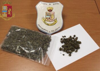 Lentini. Detenzione e spaccio di stupefacenti, due denunciati