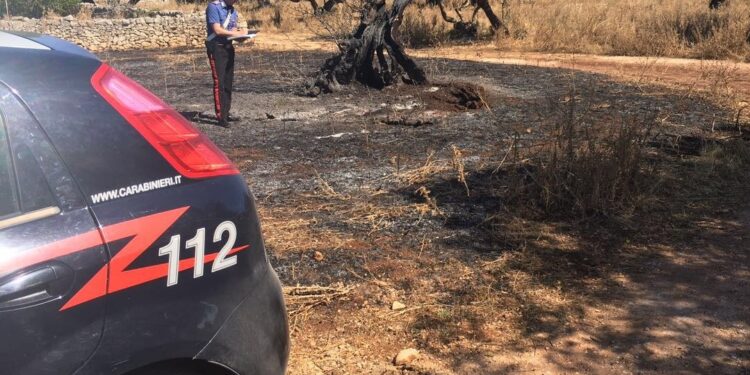 Lentini. Sorpresi a rubare pesche in località Valsavoia: due denunciati