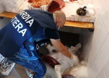 Tonno rosso privo di tracciabilità sequestrato a Noto ed Avola