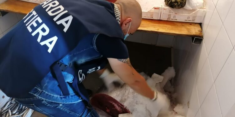 Tonno rosso privo di tracciabilità sequestrato a Noto ed Avola