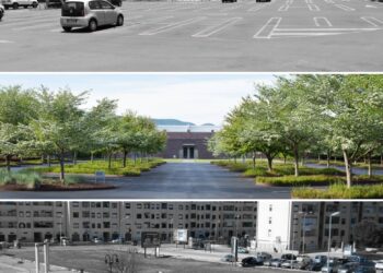Siracusa. Verde urbano, Gradenigo: “c’è bisogno di alberi in città”