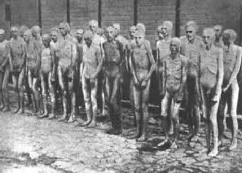 Giornalisti per un giorno. “La Giornata della memoria” di Gaia Sipala