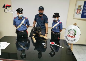 VIDEO- Siracusa. Operazione “posto fisso”, arrestate 8 persone per spaccio in Ortigia