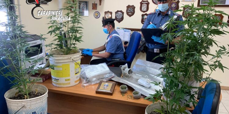 Ferla. Coltivazione illecita di canapa indiana e detenzione di marijuana: arrestato