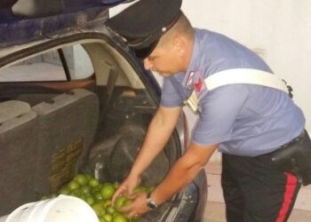 Noto. Trovati in un’auto abbandonata mille chili di limoni rubati