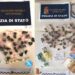Siracusa. Controlli antidroga, la Polizia sequestra stupefacente arresta un giovane e ne denuncia due