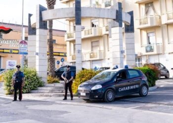 Rosolini. Giovani sorpresi dai Carabinieri a rubare carrube: un arresto e una denuncia in stato di libertà