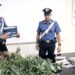 Siracusa. Due fratelli sorpresi con 10 piante di marijuana in casa: arrestati