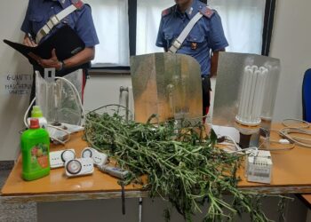 Floridia. Coltiva canapa indiana con allaccio abusivo alla rete elettrica: arrestato